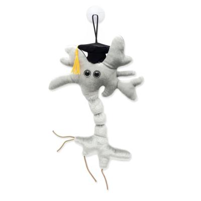 Graduation Brain Cell