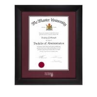 Distinction Degree Frame